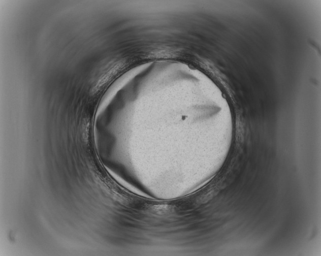 X0000102760153200809080949