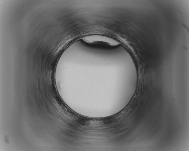 X0000102760154200809080949