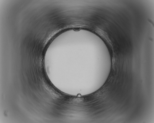 X0000102760156200809080949