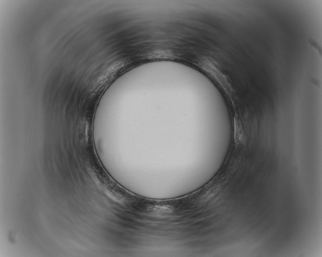 X0000102760157200809080949