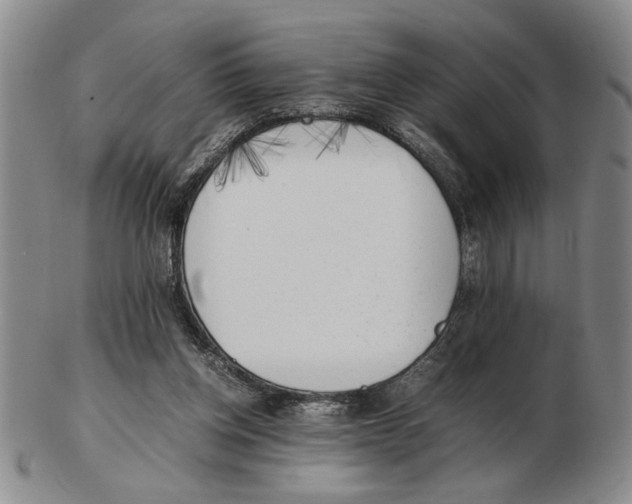 X0000102760158200809080949