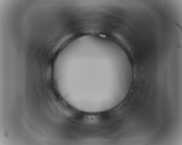 X0000102760163200809080949