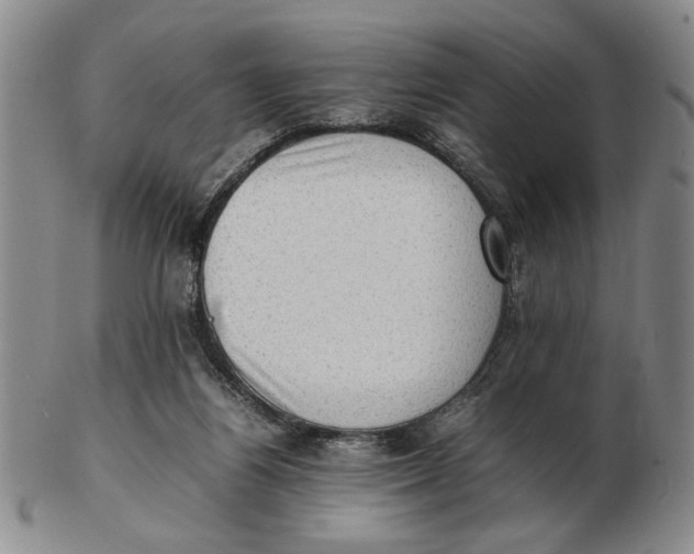 X0000102760164200809080949