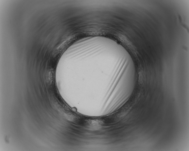 X0000102760165200809080949