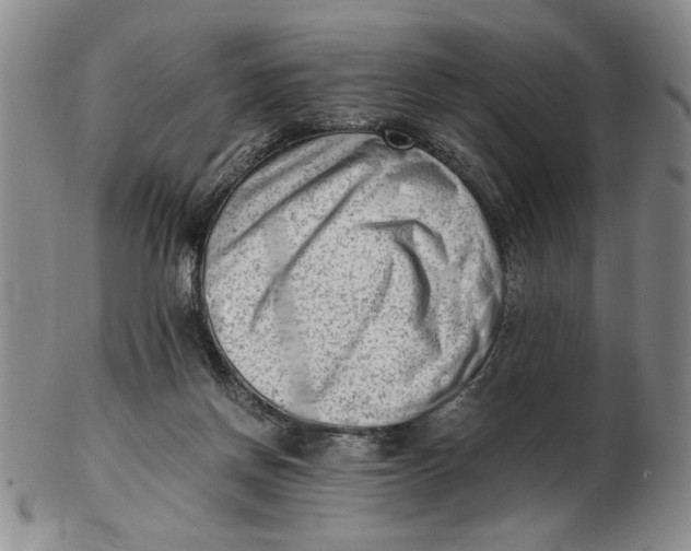 X0000102760166200809080949