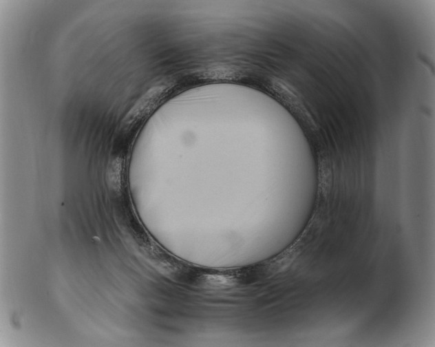 X0000102760167200809080949