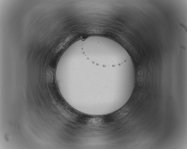 X0000102760168200809080949