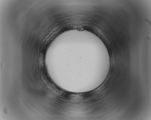 X0000102760170200809080949