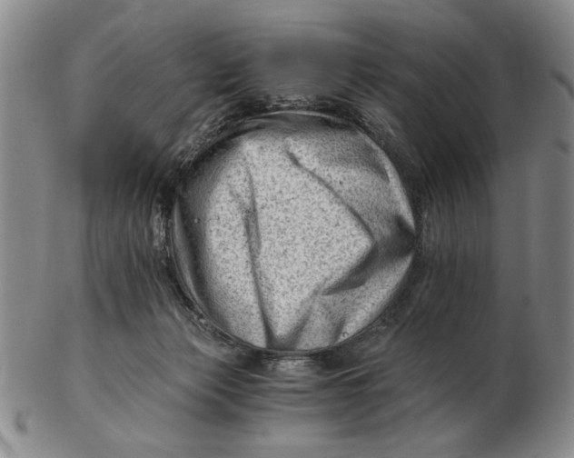 X0000102760173200809080949