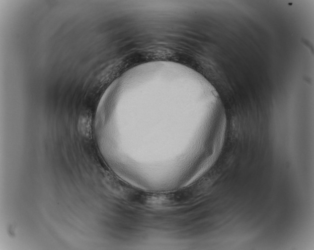 X0000102760177200809080949