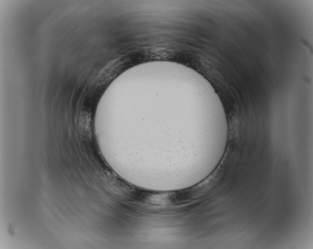 X0000102760178200809080949