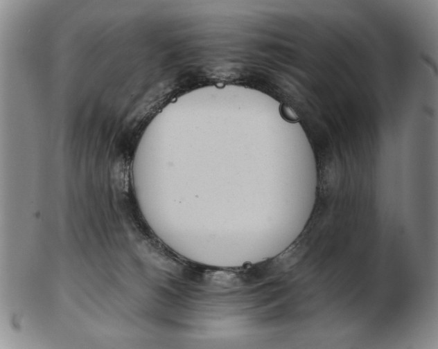 X0000102760180200809080949