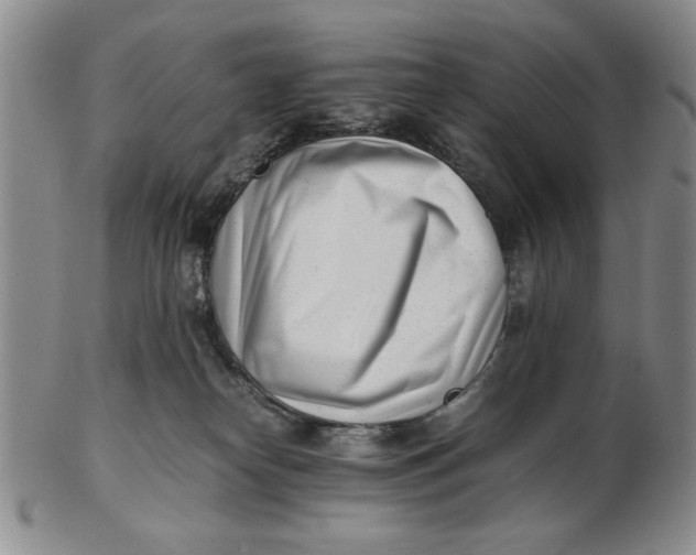 X0000102760182200809080950