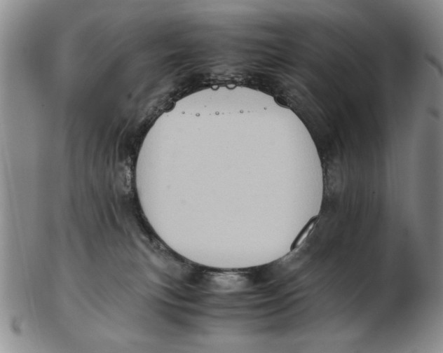 X0000102760183200809080950