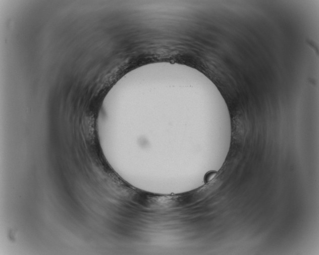 X0000102760184200809080950