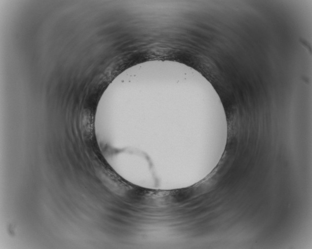 X0000102760186200809080950