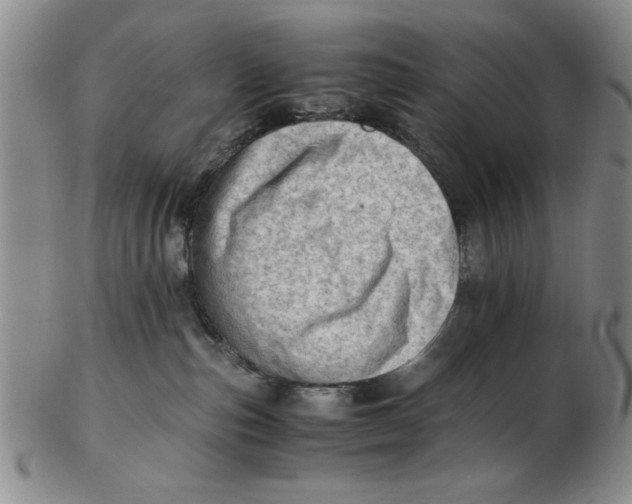 X0000102760187200809080950