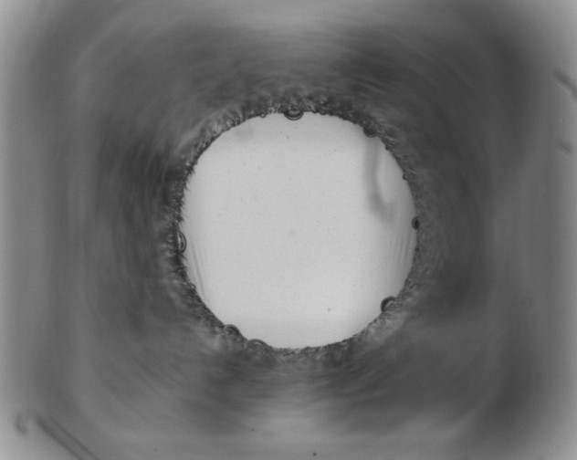 X0000102760192200809080950