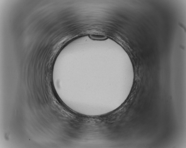 X0000102760193200809080949