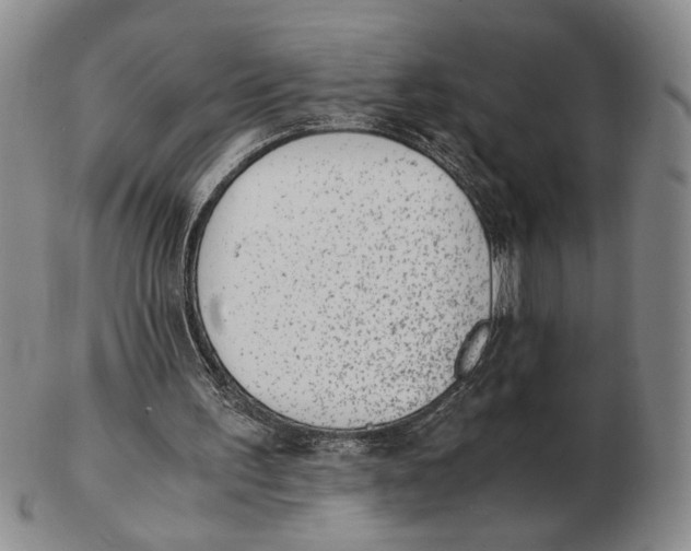 X0000102760195200809080949