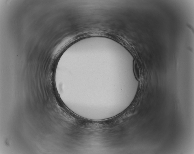 X0000102760197200809080949