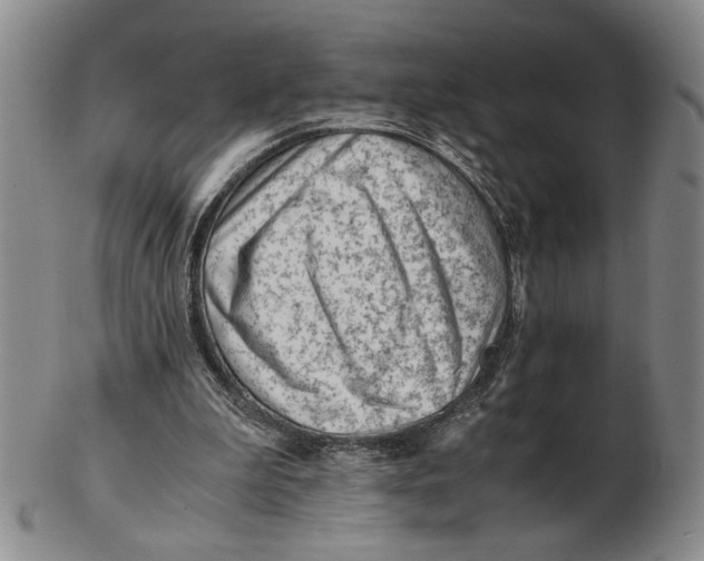 X0000102760199200809080949