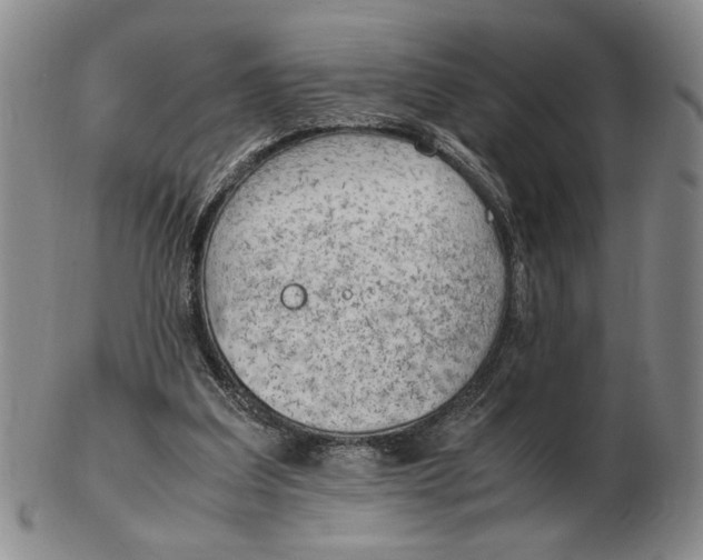 X0000102760203200809080949