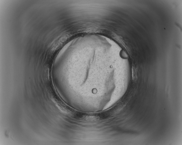 X0000102760205200809080949