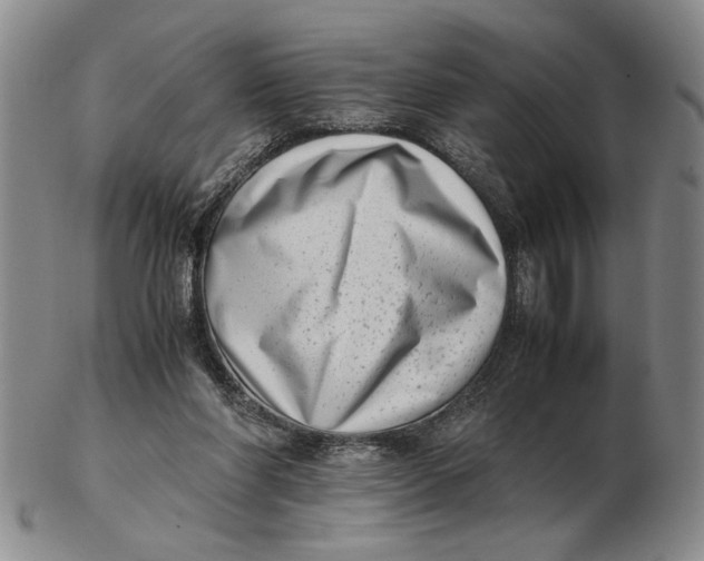 X0000102760206200809080949