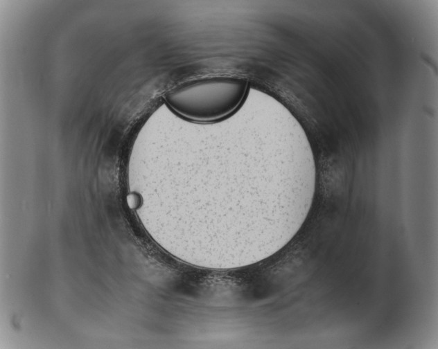 X0000102760207200809080949