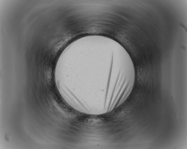 X0000102760208200809080949