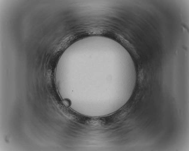 X0000102760209200809080949