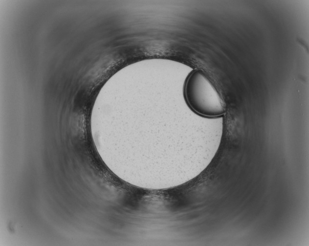 X0000102760211200809080949