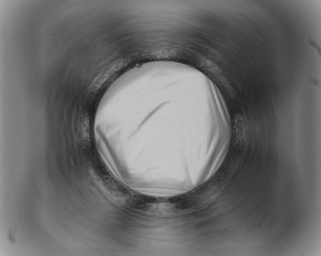 X0000102760212200809080949