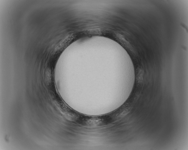 X0000102760213200809080949