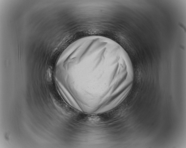 X0000102760214200809080949