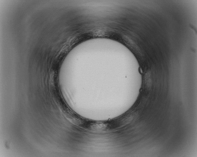 X0000102760217200809080949