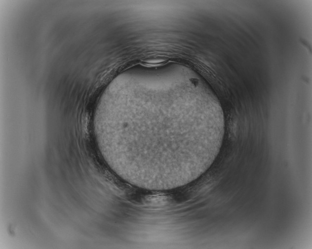 X0000102760219200809080949