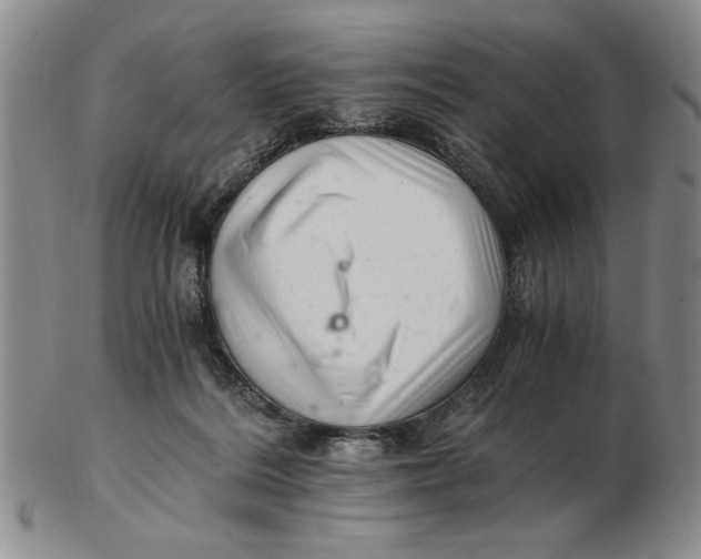 X0000102760220200809080949