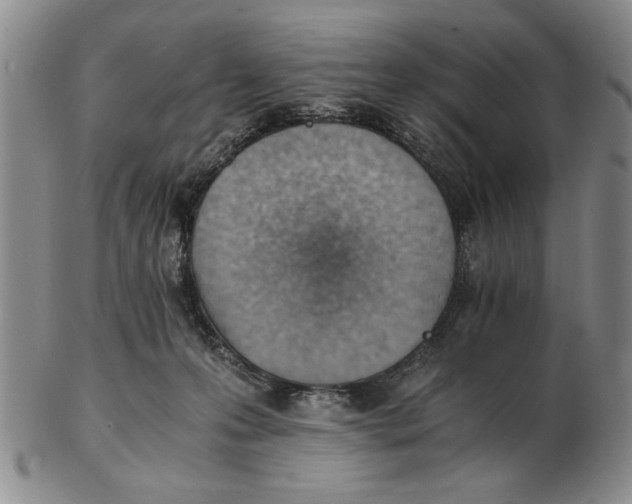 X0000102760223200809080948