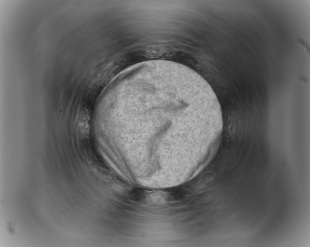 X0000102760226200809080948