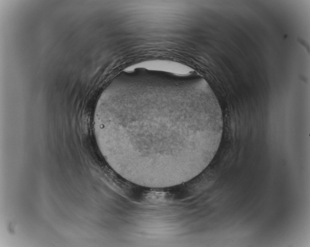 X0000102760227200809080948