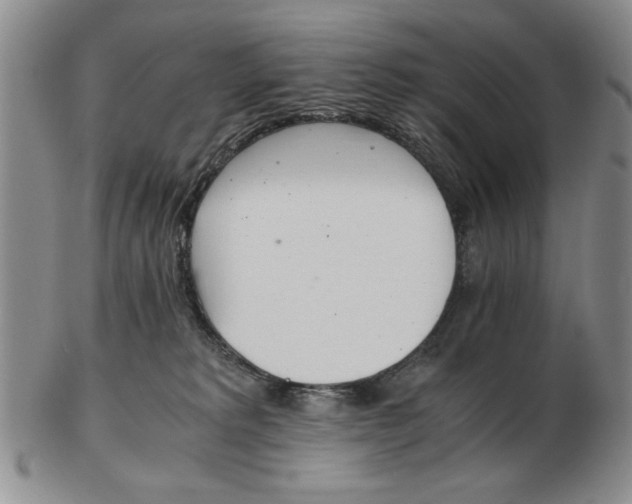 X0000102760229200809080948