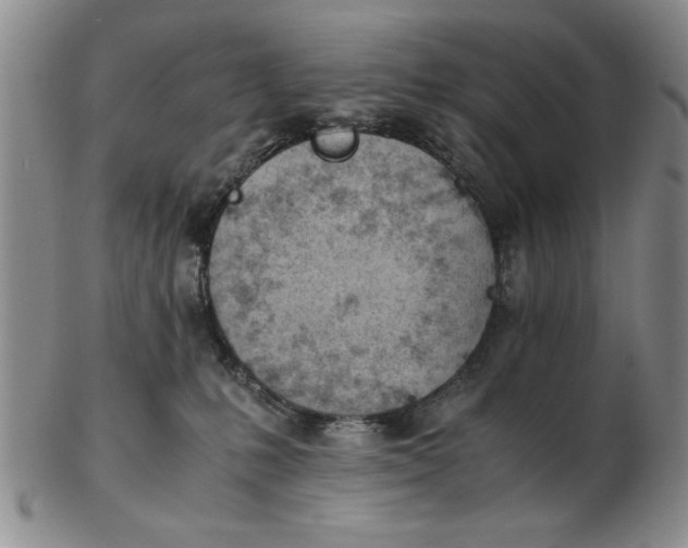 X0000102760231200809080948