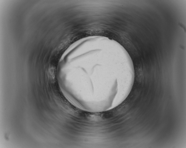 X0000102760232200809080948