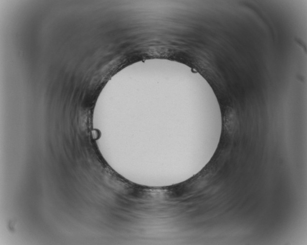 X0000102760233200809080948