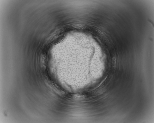 X0000102760234200809080948