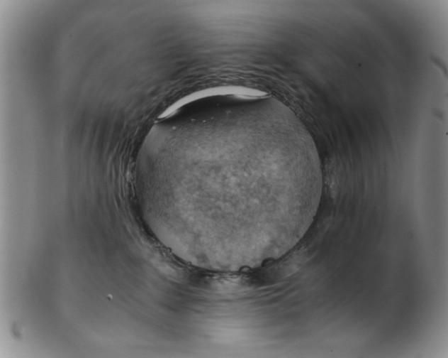 X0000102760235200809080948