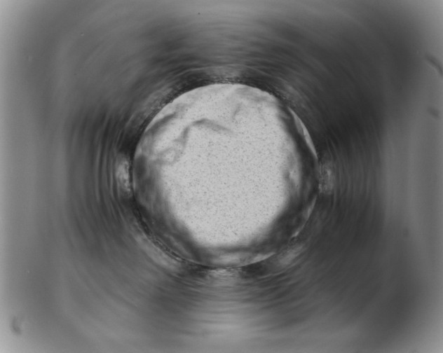 X0000102760238200809080948