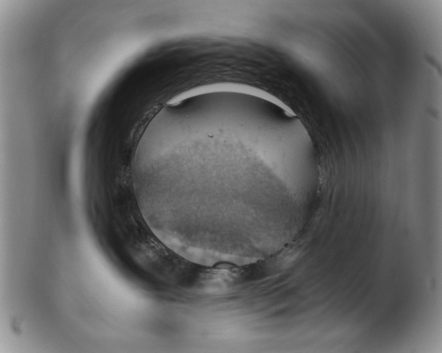 X0000102760239200809080948